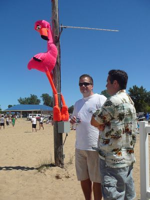 Caseville
Another tragic flamingo lynching
